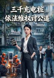 三千充电桩：依法维权讨公道